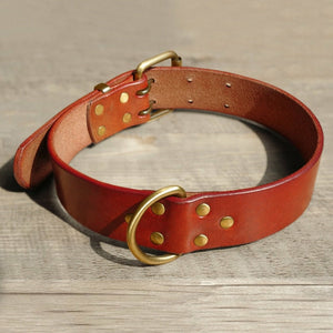Brown Collar