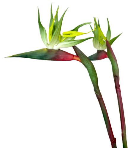 s-l500