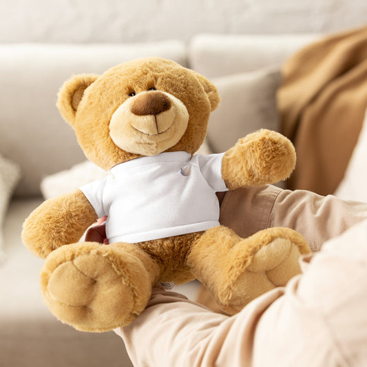 CalmCaressASMR Teddy Bear with a T-Shirt